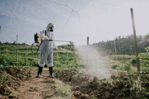 Best Commercial Pest Control Services  in Harrisburg, SD