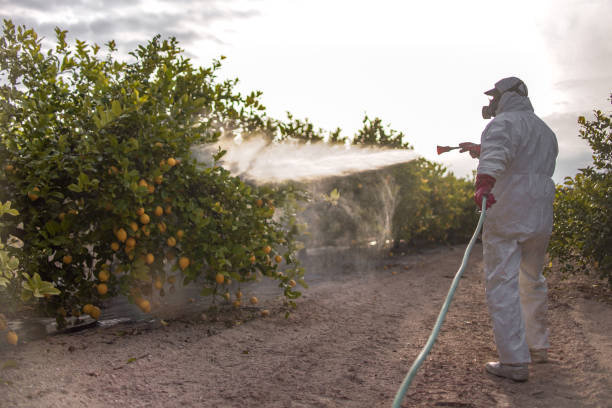 Best Ant Control Services  in Harrisburg, SD