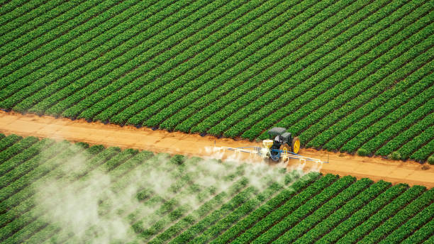 Best Best Pest Control Companies  in Harrisburg, SD