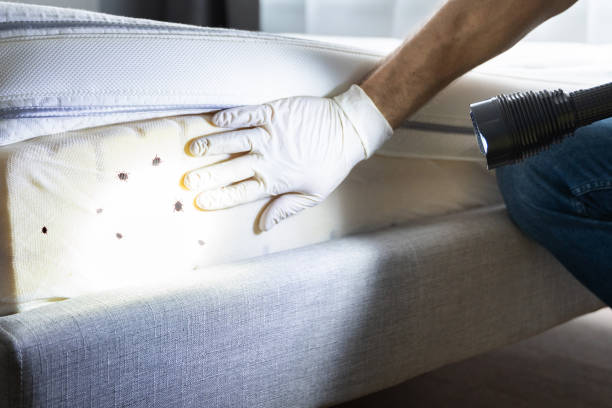Best Pest Control for Restaurants  in Harrisburg, SD