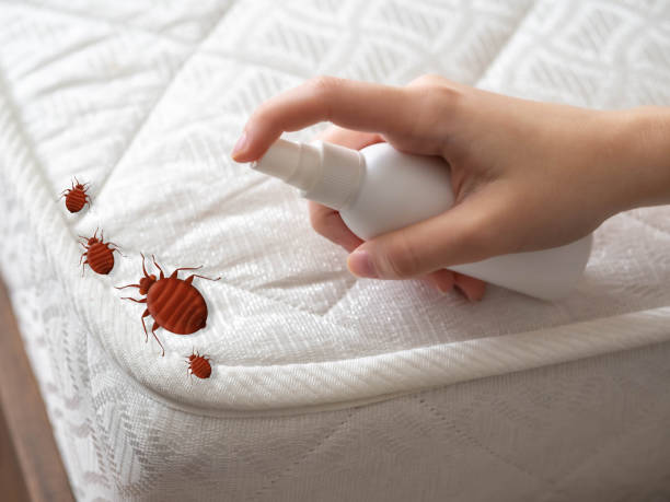 Best Pest Inspection Near Me  in Harrisburg, SD