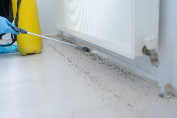 Best Insect Control  in Harrisburg, SD