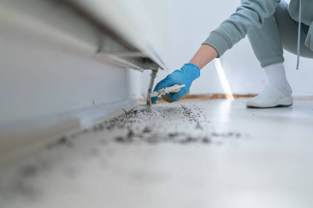Best Insect Control  in Harrisburg, SD