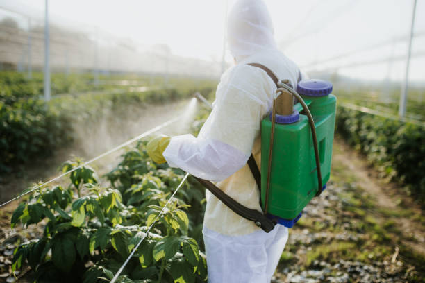 Best Best Pest Control Companies  in Harrisburg, SD